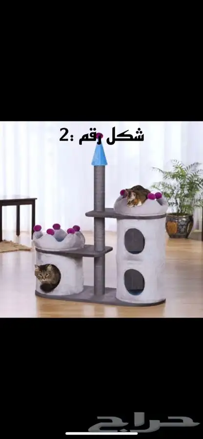 خداشات وبيت قطط 2