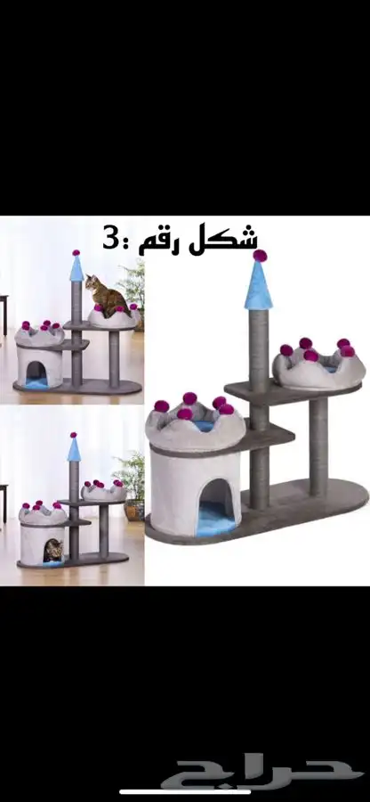 خداشات وبيت قطط 3
