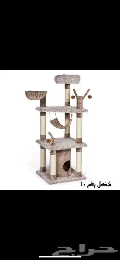 خداشات وبيت قطط 1