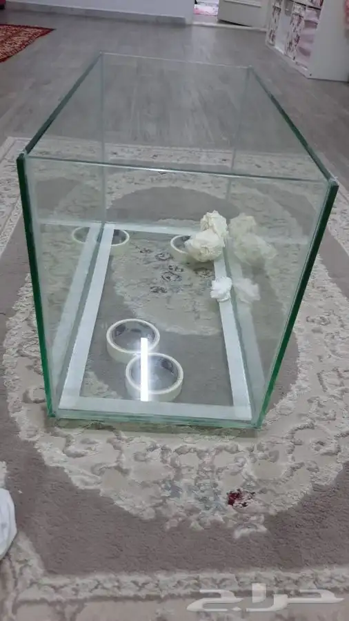 تفصيل أحواض سمك زجاجية مقاسات مختلفة 7