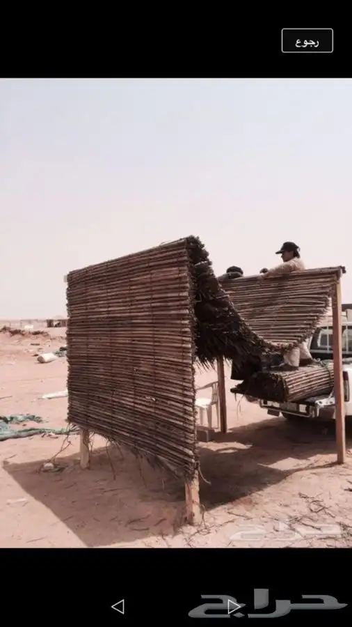 سعف نخل رولات السعف جريد نخل عسف النخل 0