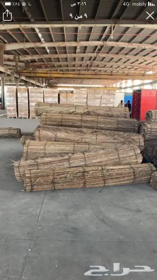 سعف نخل رولات السعف جريد نخل عسف النخل 2