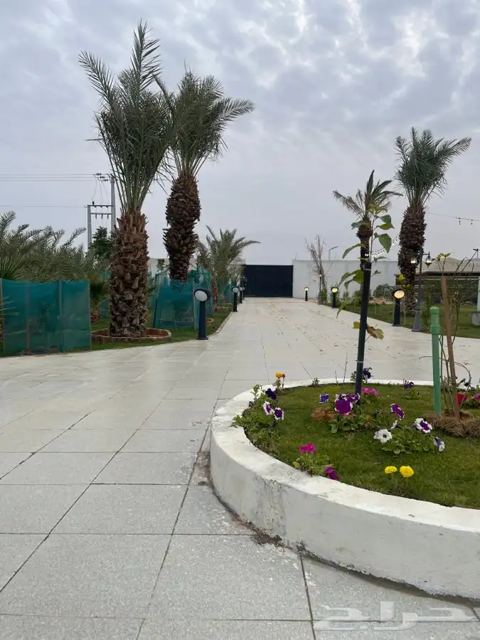 استراحه للايجار في العماريه 17