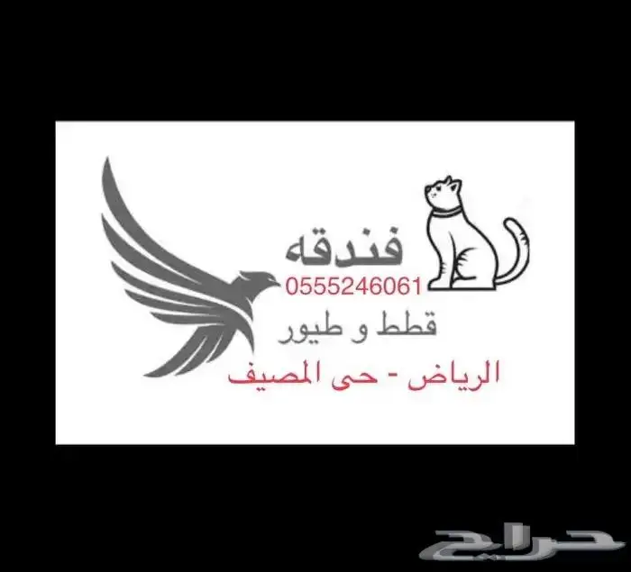 فندقه قطط - فندقة طيور -61 60 24 55 05 الرياض 0