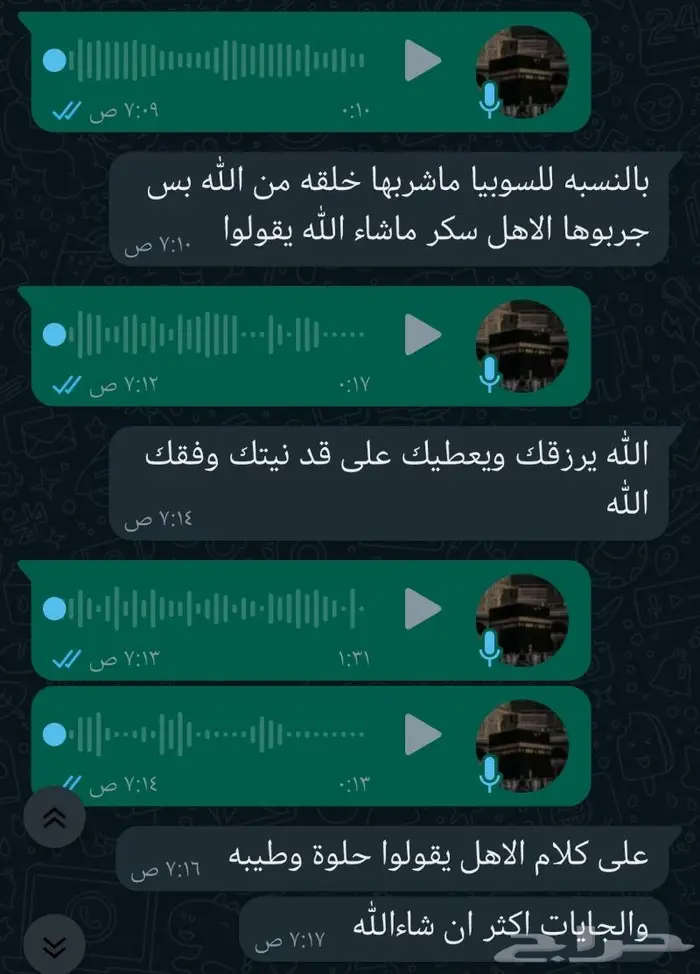 سوبيا البابوري 40