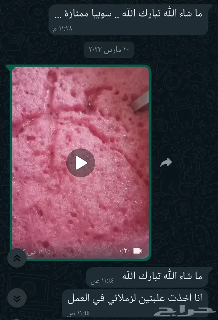 سوبيا البابوري 39