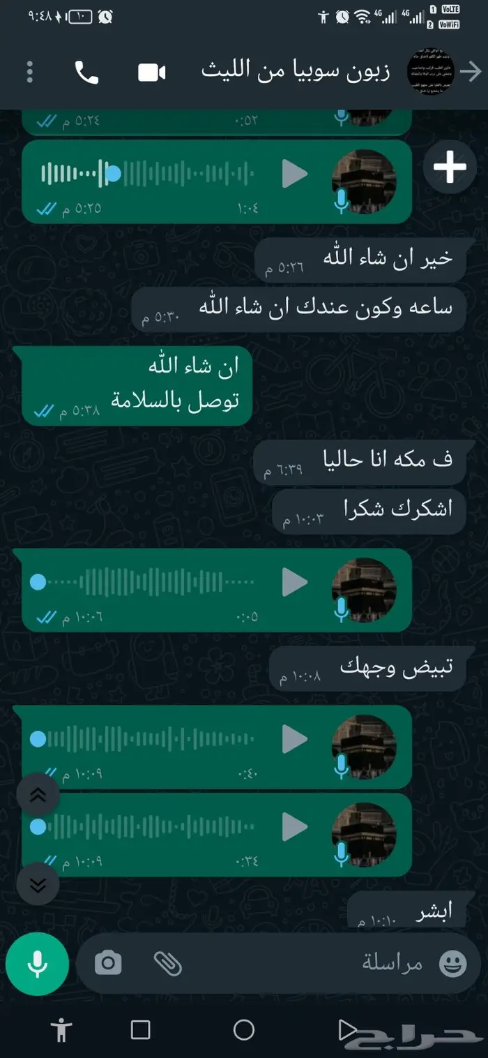 سوبيا البابوري 41