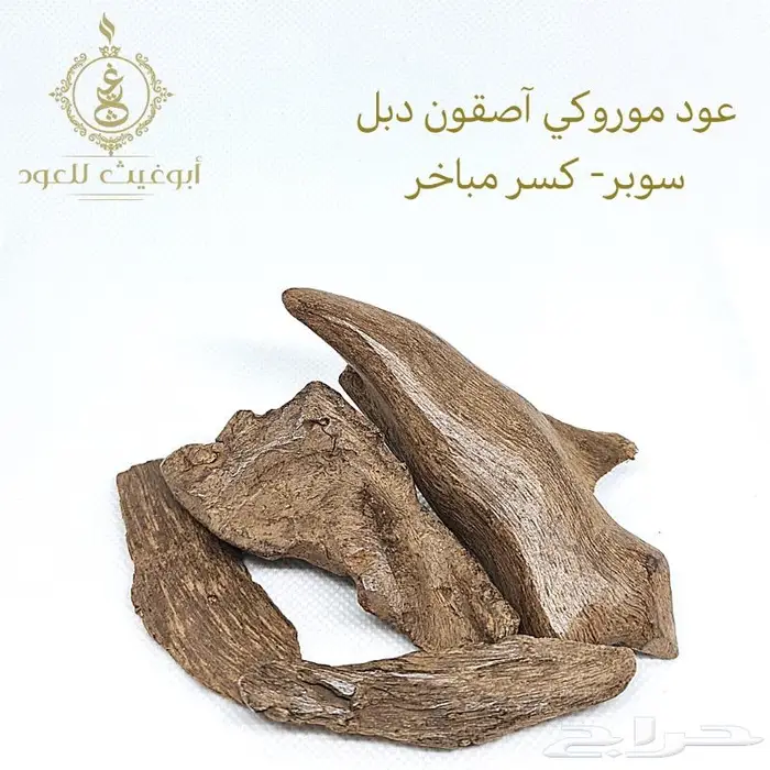 عود موروكي آصقون فاخر دبل سوبر.. أبوغيث للعود 0