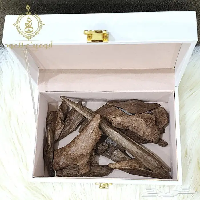 عود موروكي آصقون فاخر دبل سوبر.. أبوغيث للعود 1