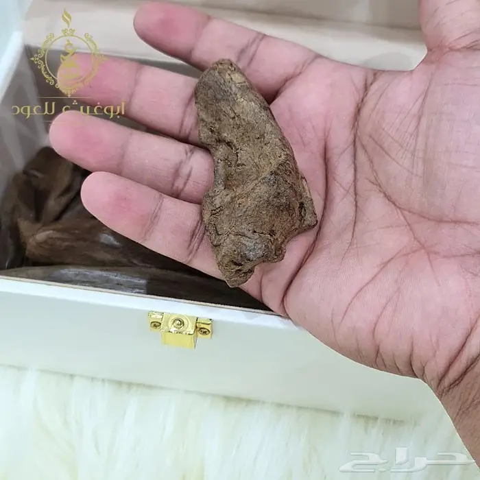 عود موروكي آصقون فاخر دبل سوبر.. أبوغيث للعود 2