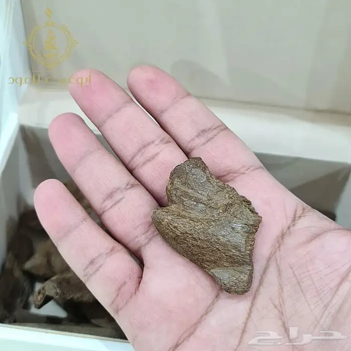 عود موروكي آصقون فاخر دبل سوبر.. أبوغيث للعود 3