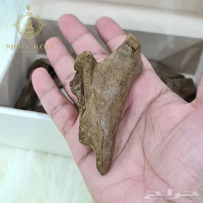 عود موروكي آصقون فاخر دبل سوبر.. أبوغيث للعود 4