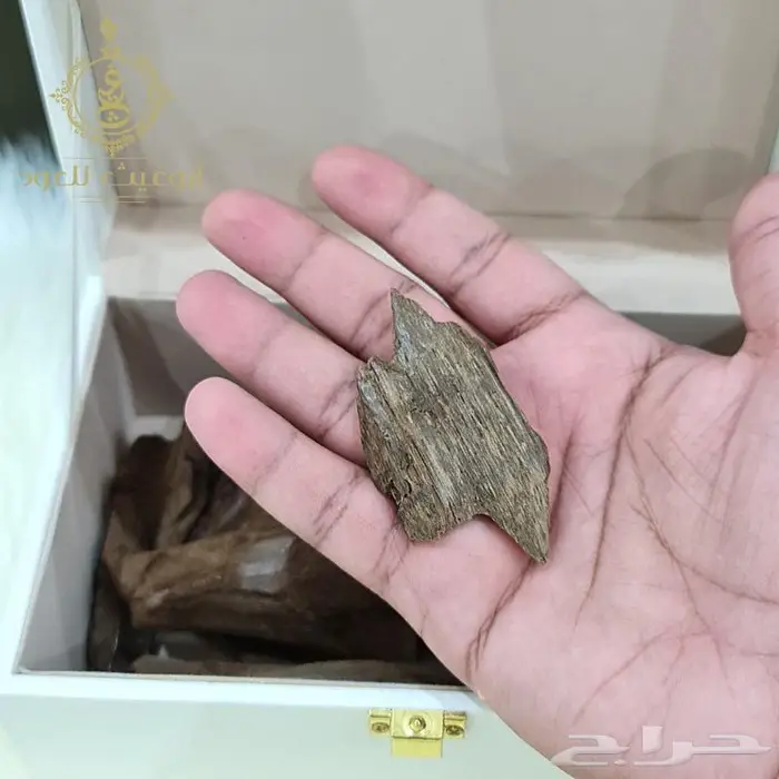 عود موروكي آصقون فاخر دبل سوبر.. أبوغيث للعود 5