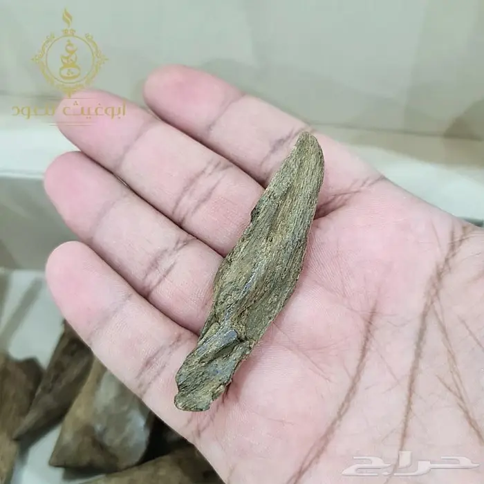 عود موروكي آصقون فاخر دبل سوبر.. أبوغيث للعود 6