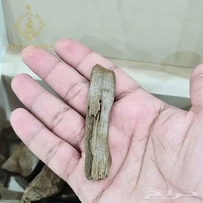 عود موروكي آصقون فاخر دبل سوبر.. أبوغيث للعود 7