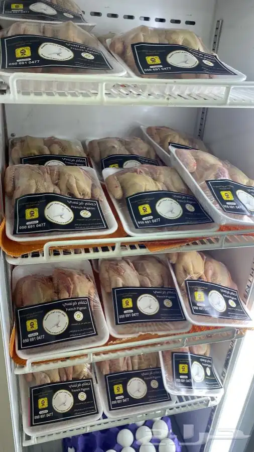 زغاليل حمام فرنسي أحجام فااخره 2