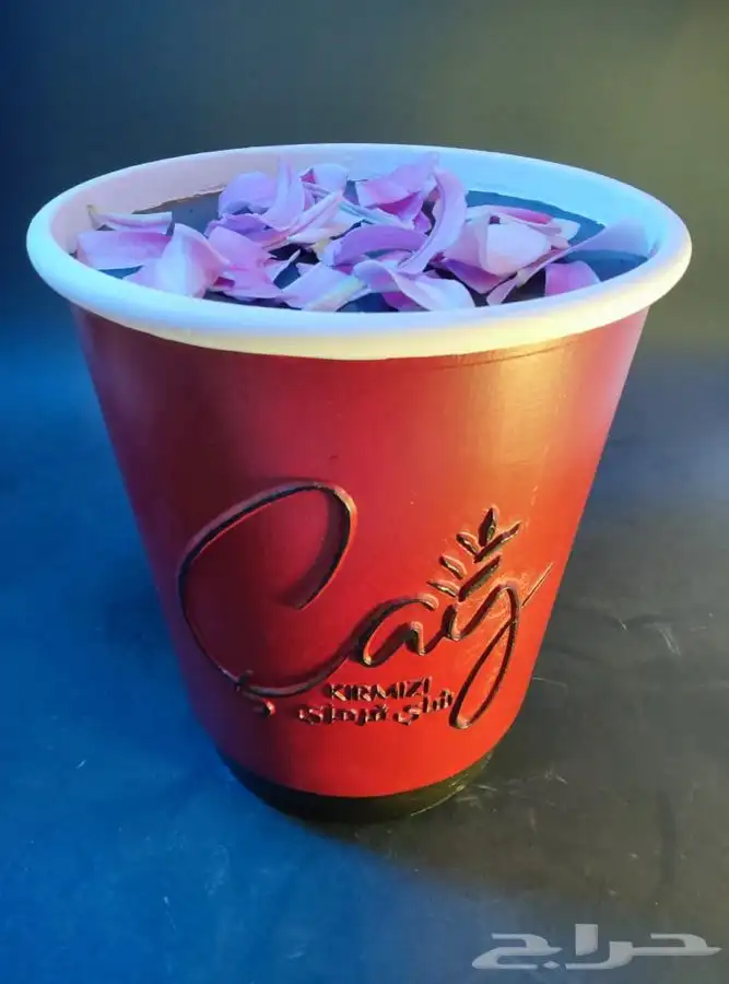 مجسمات ثلاثية الابعاد لاصحاب المقاهي والمطاعم والمكاتب 4