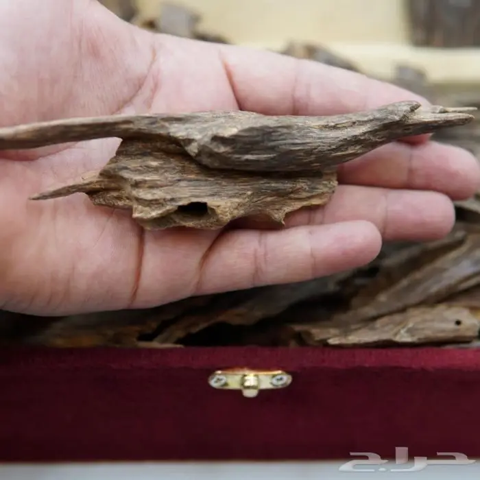 عود هندي نجلاند فاخر - سوبر مرتفع عالي و دبل 2