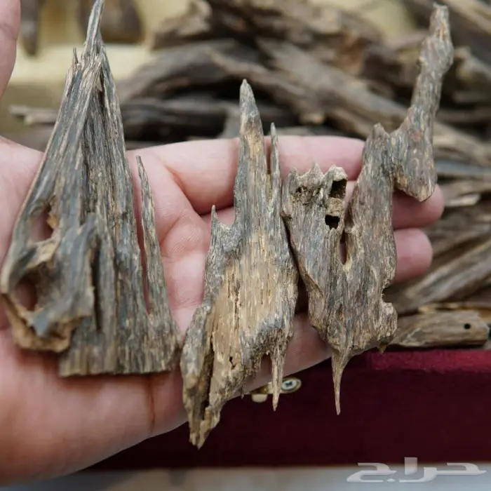 عود هندي نجلاند فاخر - سوبر مرتفع عالي و دبل 3