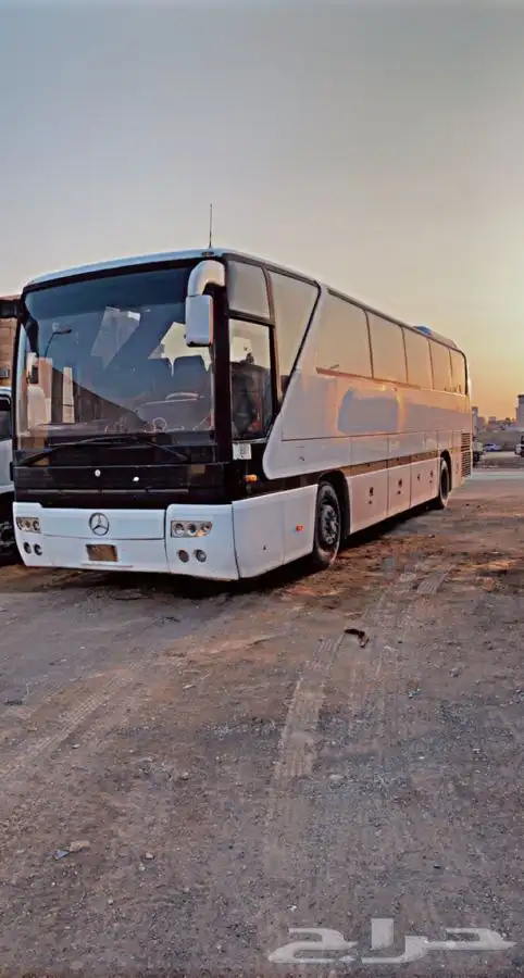حافلات 10