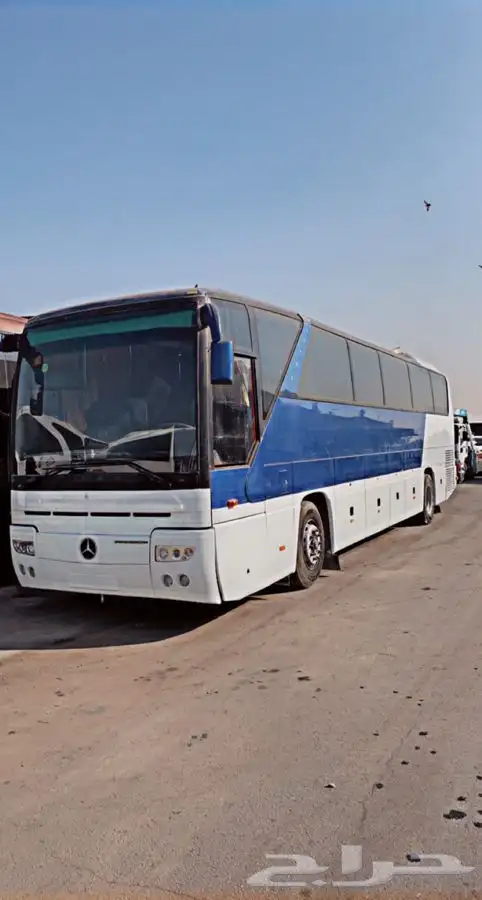 حافلات 6
