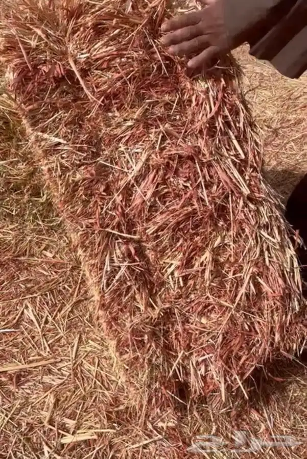 ذره جزانيه ناعمه 13