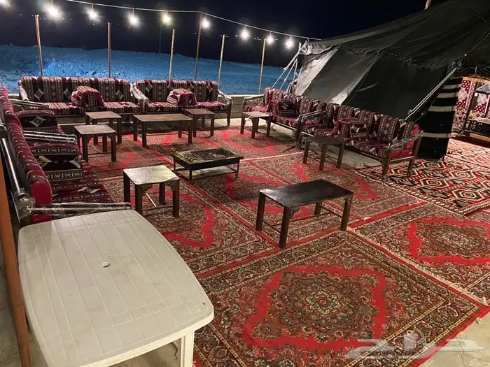 استراحة ومخيمات زهرة الطايف 61