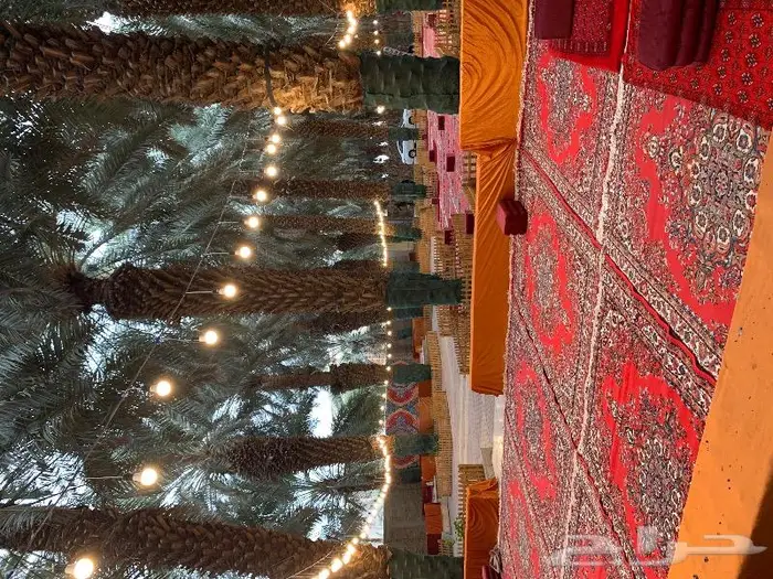 تأجير لوازم افراح ومناسبات 10
