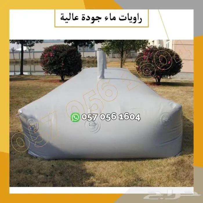 تايجر امريكي - راويه ماء 2