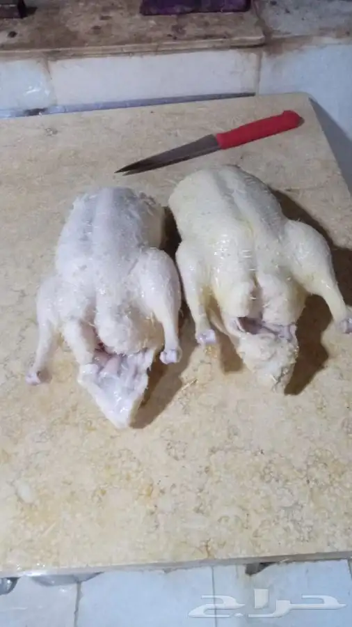 للبيع بط بكيني 0