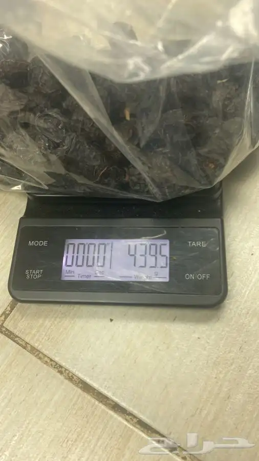 عجوة عالية المدينه وانواع التموور 42