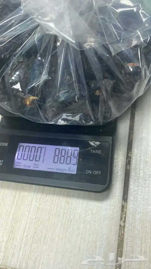 عجوة عالية المدينه وانواع التموور 41