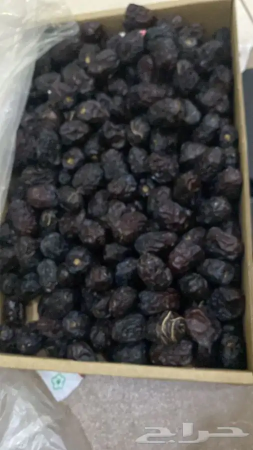 عجوة عالية المدينه وانواع التموور 49