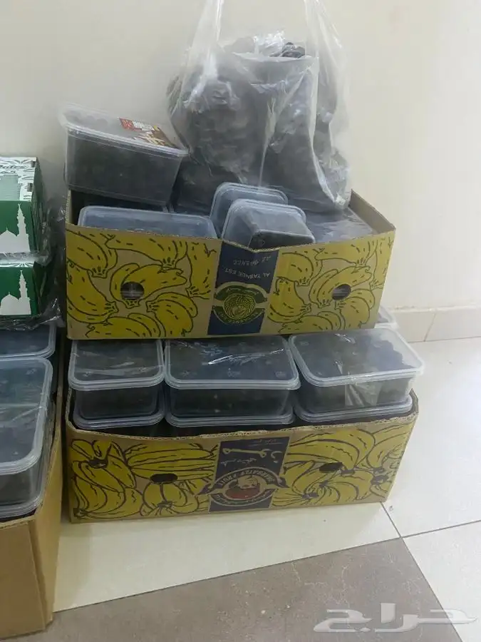 عجوة عالية المدينه وانواع التموور 44