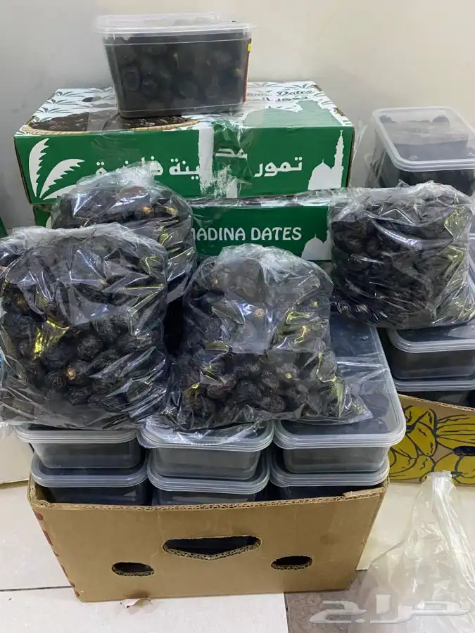 عجوة عالية المدينه وانواع التموور 47