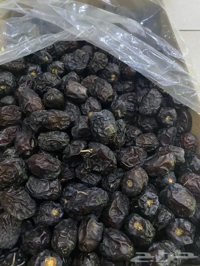 عجوة عالية المدينه وانواع التموور 52