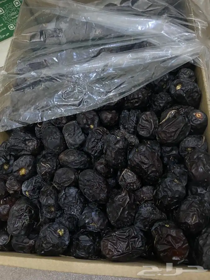 عجوة عالية المدينه وانواع التموور 48