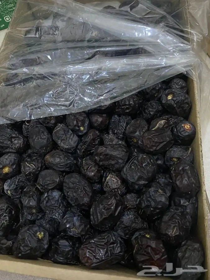 عجوة عالية المدينه وانواع التموور 50