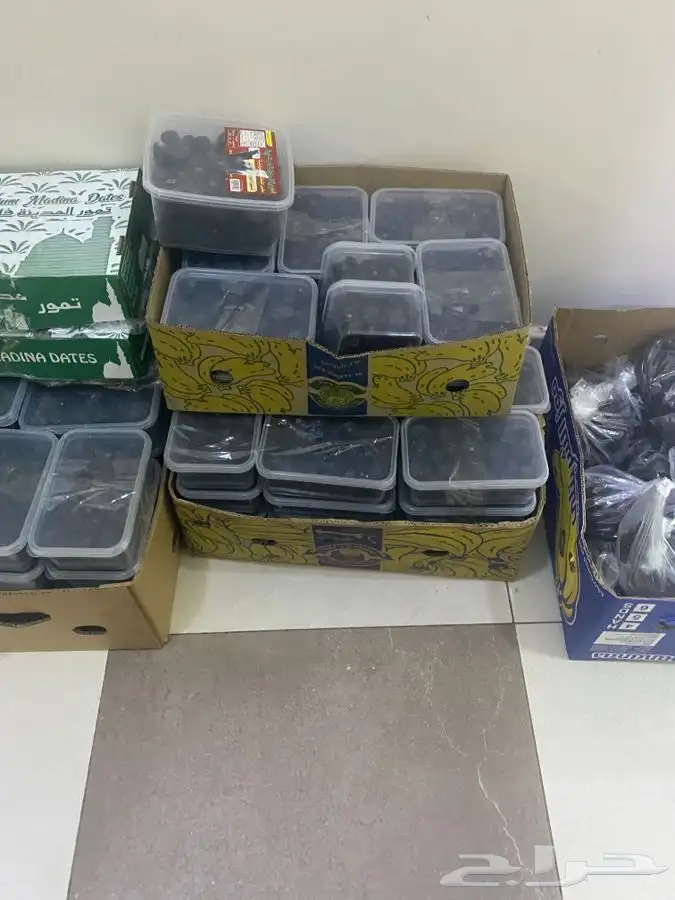 عجوة عالية المدينه وانواع التموور 38