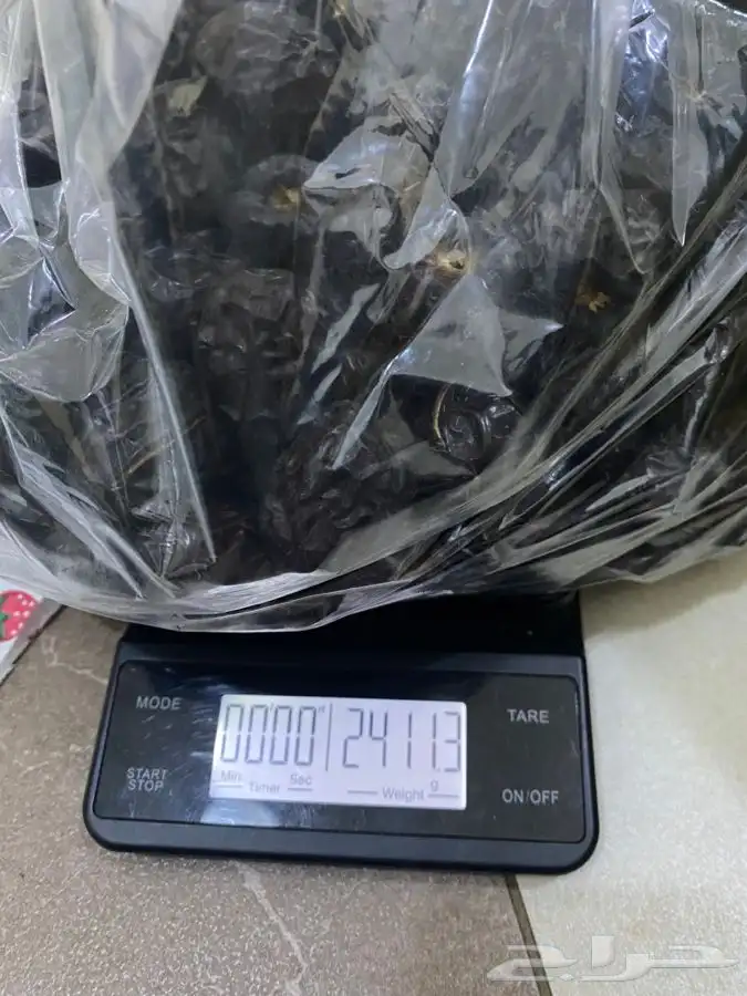 عجوة عالية المدينه وانواع التموور 51