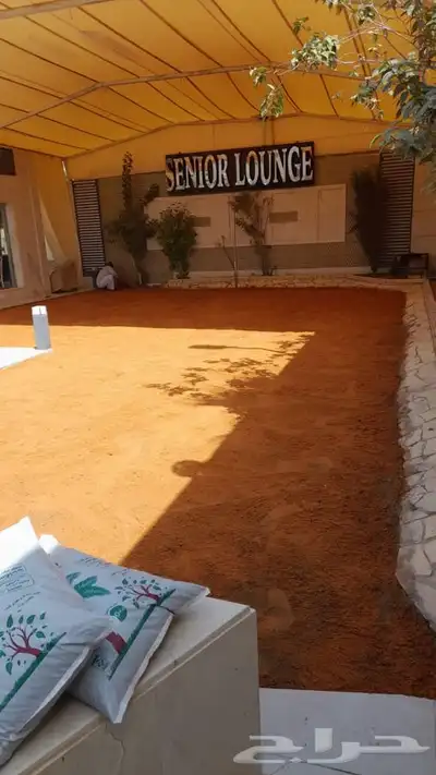 شتلات مشتل زراعي مشاتل الرياض تنسيق حدائق نباتات 19