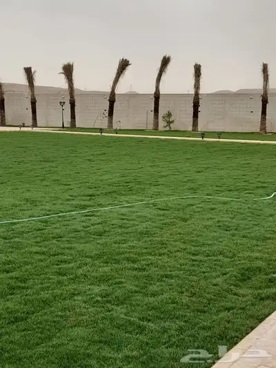 شتلات مشتل زراعي مشاتل الرياض تنسيق حدائق نباتات 27