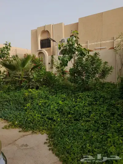 شتلات مشتل زراعي مشاتل الرياض تنسيق حدائق نباتات 40