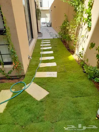 شتلات مشتل زراعي مشاتل الرياض تنسيق حدائق نباتات 22