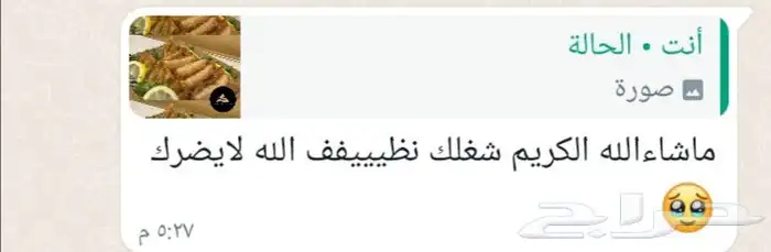 مفرزنات سمبوسه مقرمشهه 3