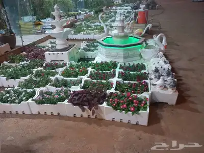 شتلات مشتل زراعي مشاتل الرياض تنسيق حدائق نباتات 41