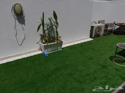 شتلات مشتل زراعي مشاتل الرياض تنسيق حدائق نباتات 39