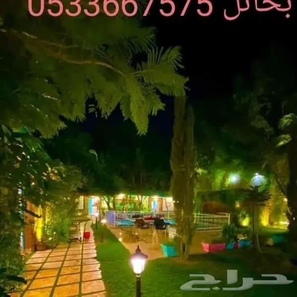 عزيمتك .عشاء 1