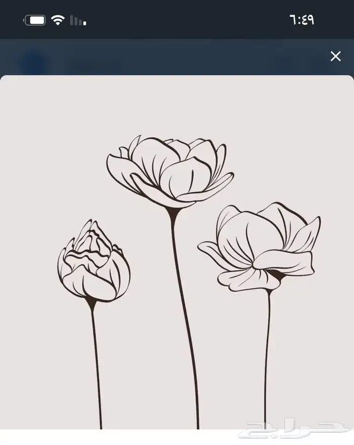 لوحات جدارية ايطارات براويز 5