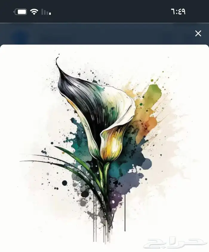 لوحات جدارية ايطارات براويز 12